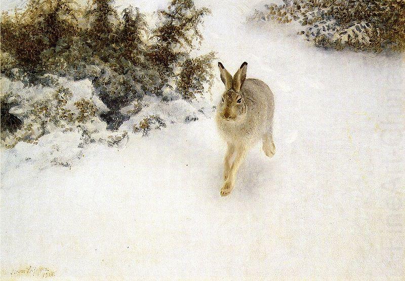 bruno liljefors Winter Hare oil painting picture
